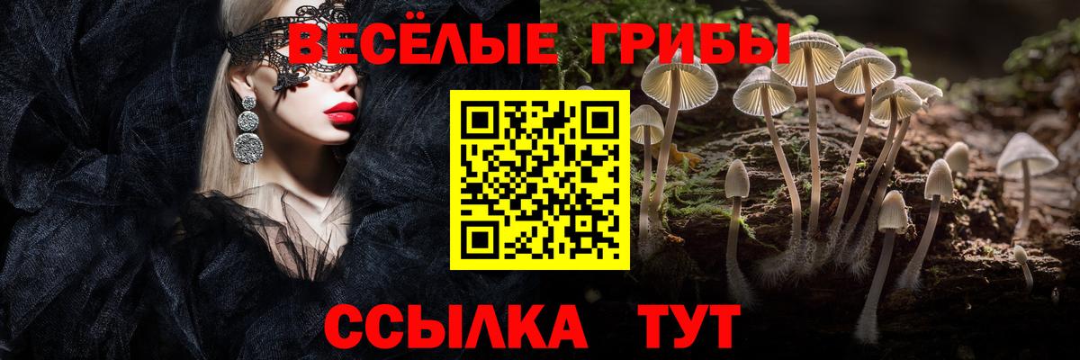 Галлюциногенные грибы Psilocybine cubensis Чебаркуль